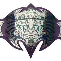 TNA Jeff Hardy Championship Replica Belt – Purple Strap Edition Gold Plated