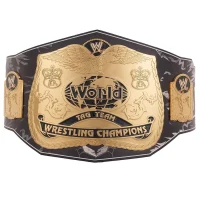 Dudley Boyz Signature Series World Tag Team Championship Belt Gold Plated