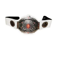NWA World Women’s Championship Replica Title Belt Gold Plated